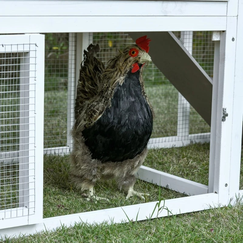 76" Wooden Outdoor Chicken Coop Hen House w Removable Tray, Nesting Box, Lockable Door, Grey