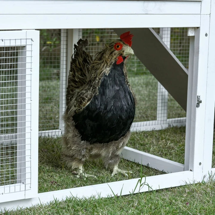 76" Wooden Outdoor Chicken Coop Hen House w Removable Tray, Nesting Box, Lockable Door, Grey