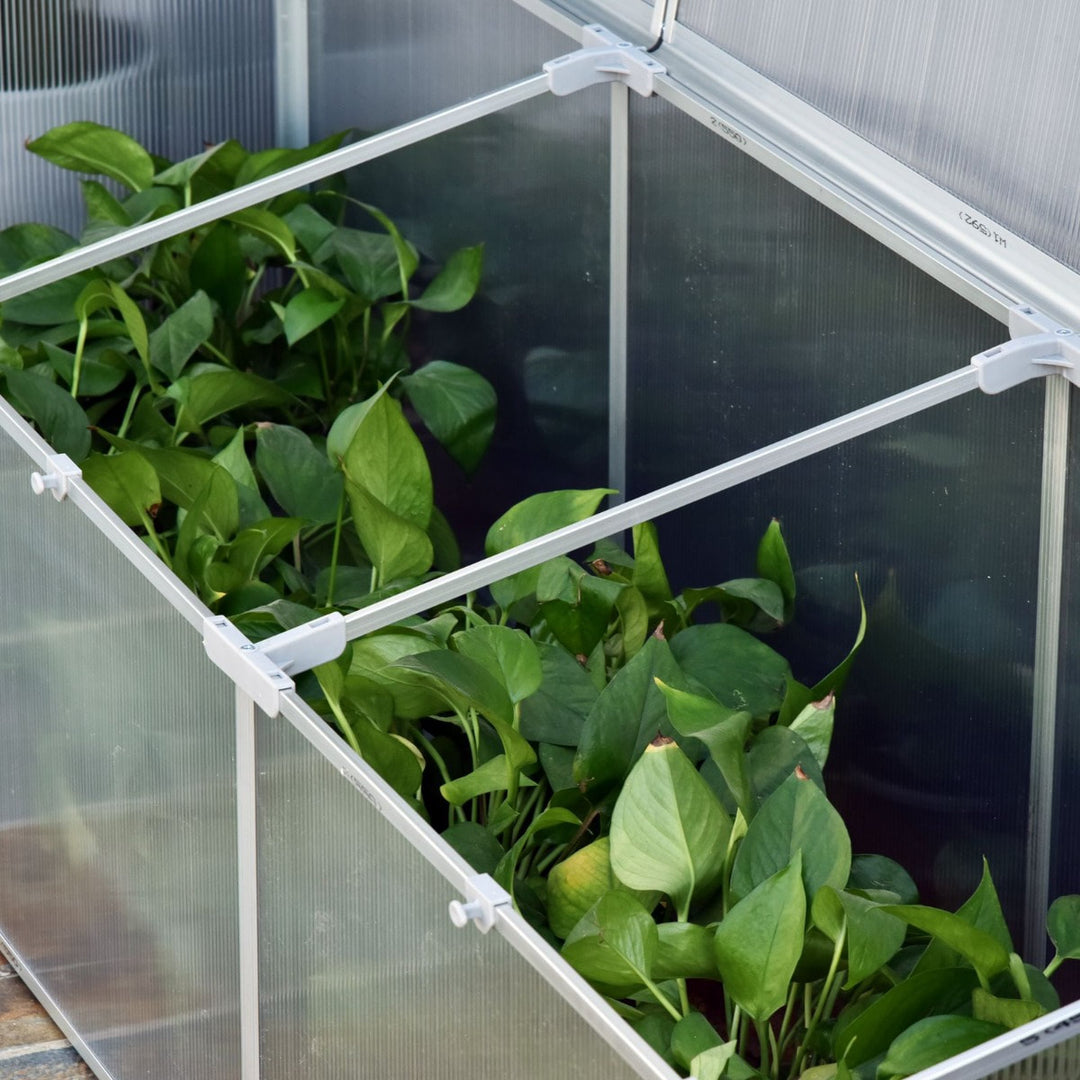 6ft Vented Cold Aluminum Frame Greenhouse for Garden