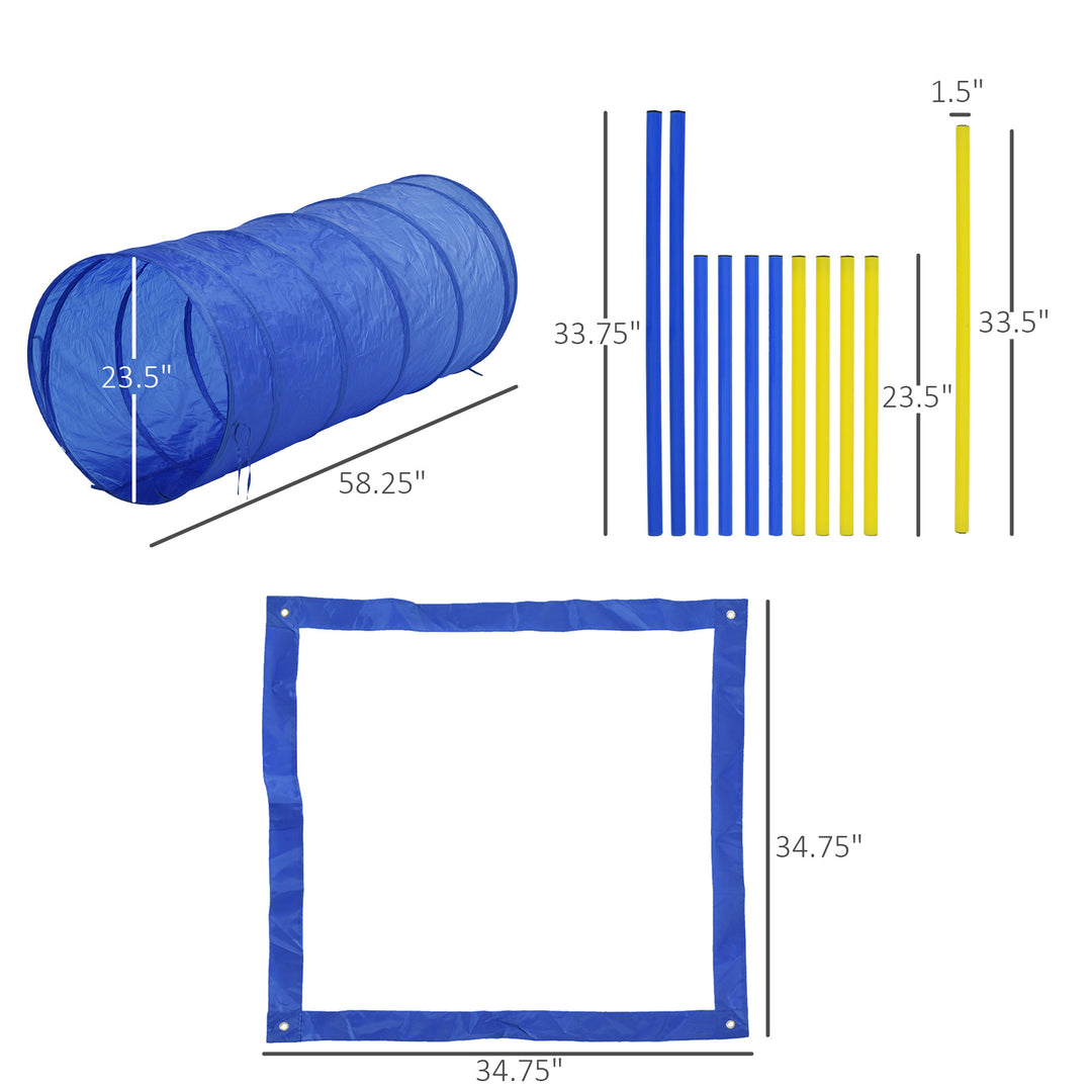 Pet Agility Trainer Exercise Set - Blue and Yellow