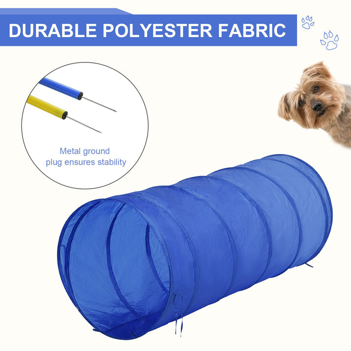 Pet Agility Trainer Exercise Set - Blue and Yellow