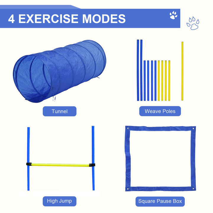 Pet Agility Trainer Exercise Set - Blue and Yellow