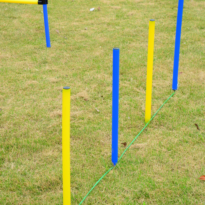 Pet Agility Trainer Exercise Set - Blue and Yellow