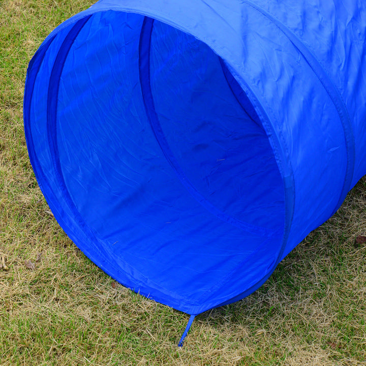 Pet Agility Trainer Exercise Set - Blue and Yellow